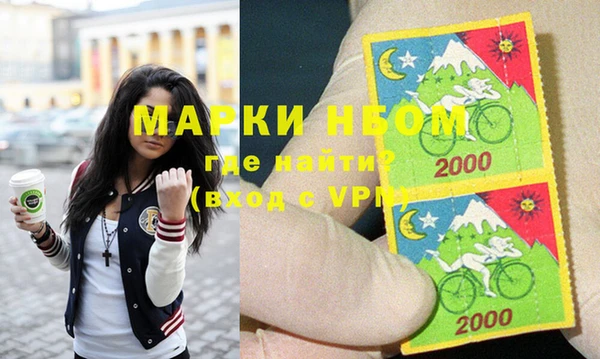 хмурый Алзамай