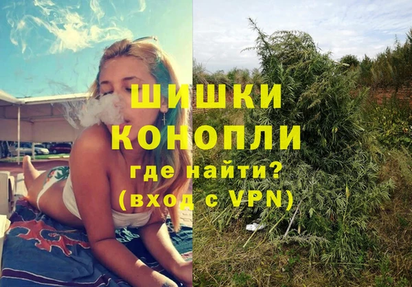 хмурый Алзамай
