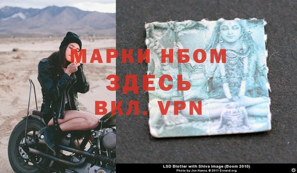 хмурый Алзамай