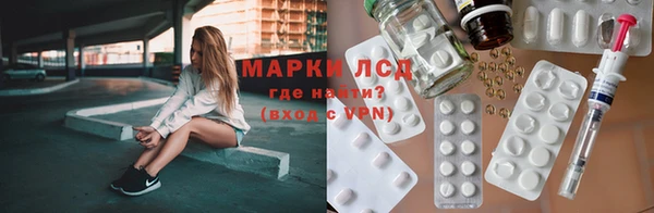 хмурый Алзамай