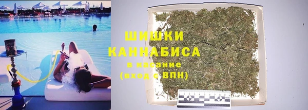хмурый Алзамай